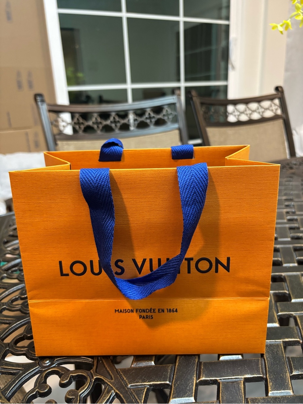 Louis Vuitton gift bag